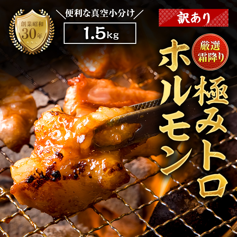 【訳あり】霜降り 極みトロホルモン1.5kg 秘伝のタレ付き | 国産 訳あり極トロホルモン 訳あり 霜降り ホルモン 冷凍 真空パック 家庭用 ホルモンうどん　八島丹山 京都 舞鶴