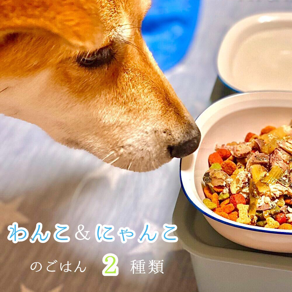 自然食材 ペットフード ワンコ と ニャンコ の ご飯 2種類 4袋 犬 猫 ドッグフード キャットフード 安心安全 ペットフード ペット用品 ヒューマングレード リッチフード