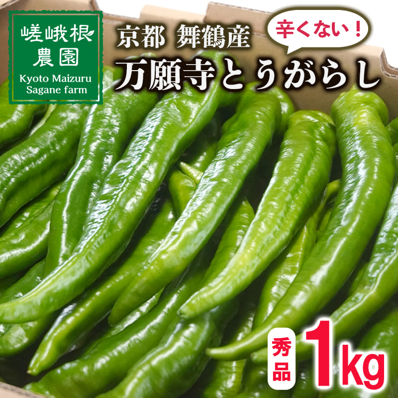 【5月中旬～11月下旬発送】 万願寺 とうがらし 秀品 1kg 辛くない 美味しい おいしい 肉厚 甘い 旬 採れたて 箱入り 伝統野菜 バーベキュー BBQ 野菜 夏野菜 農家 産地 直送 揚げ物 炒め物 煮物 万願寺とうがらし 唐辛子 京都 舞鶴 | まんがんじ 万願寺とうがらし 万願寺唐辛子 唐辛子 ご当地野菜 地場産品 地場野菜 野菜 発祥 とうがらし 京都 京野菜 期間限定 夏野菜 秋 夏 野菜 やさい 箱入り