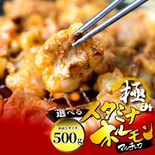 【タレ揉み】 極みの スタミナ ホルモン マルチョウ 500g 250×2袋 小分け タレ付き | ほるもん 牛肉 牛ホルモン モツ 丸腸 まるちょう 焼き肉 BBQ 味付け肉 キャンプ アウトドア 京都 舞鶴