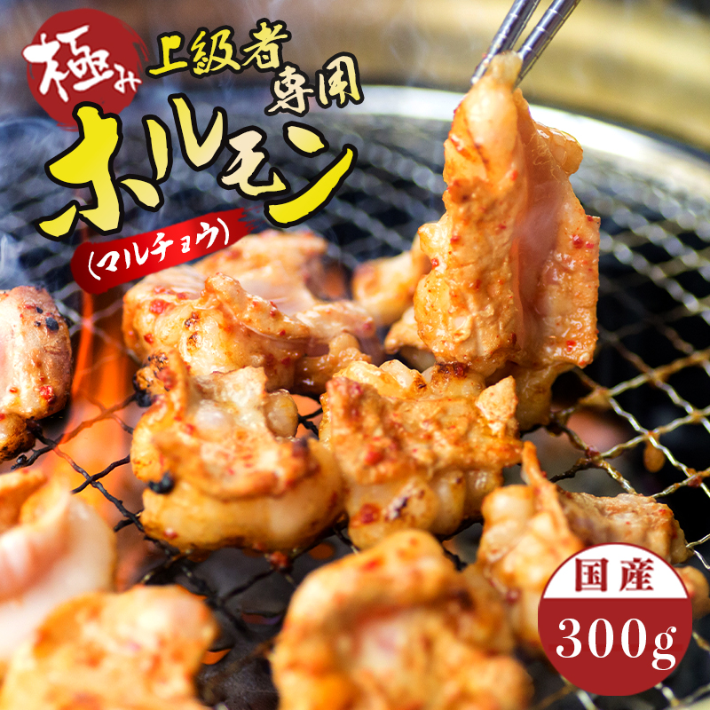 国産 牛 極上 上級者専用 ホルモン ( マルチョウ ) 300g 附属タレ付き | 冷蔵 丸腸 もつ鍋 タレ揉み 中元 ギフト お祝いモン モツ 丸腸 まるちょう 焼き肉 BBQ 味付け肉 キャンプ アウトドア 京都 舞鶴