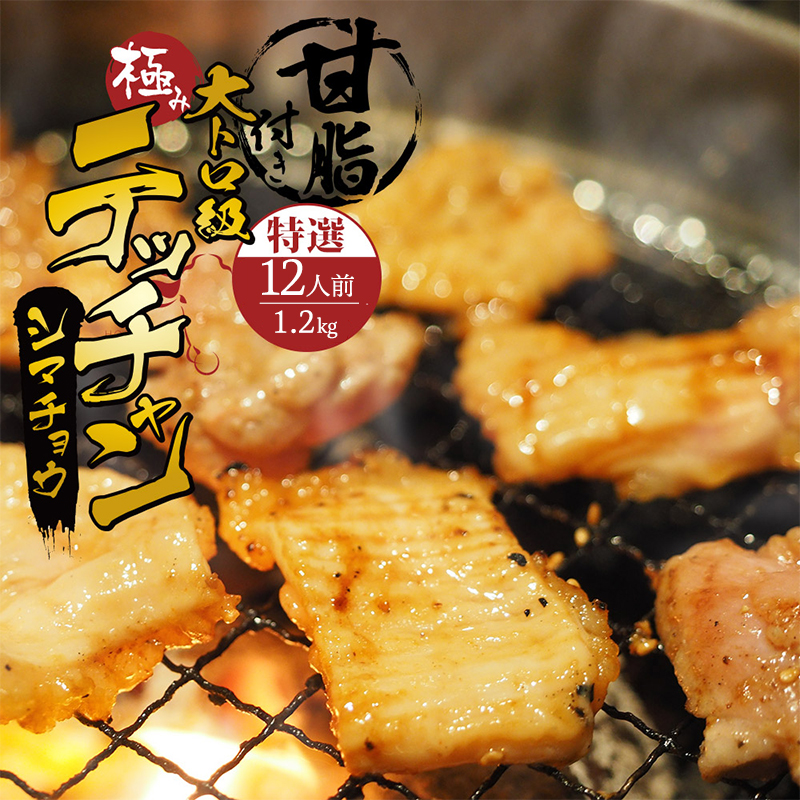 極み シマチョウ テッチャン 1.2kg 附属タレ付き | タレ揉み 冷蔵 甘脂付き 焼肉 もつ鍋 中元 ギフト お祝い