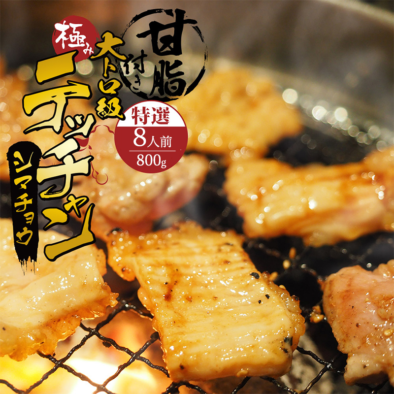 極み シマチョウ テッチャン 800g 附属タレ付き | タレ揉み 冷蔵 甘脂付き 焼肉 もつ鍋 中元 ギフト お祝い