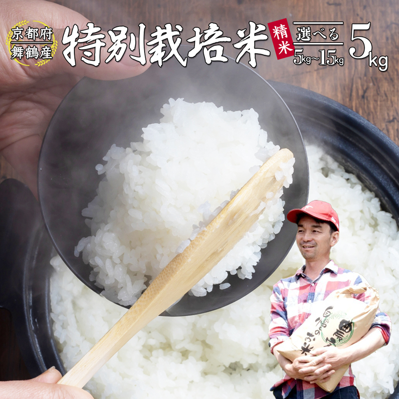 【令和7年度産 新米 先行予約】 棚田米 白米 5kg コシヒカリ 特別栽培米 7割削減 新米 精米 京都産 農家直送 お米 ごはん こしひかり 京都 舞鶴