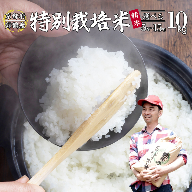 【令和7年度産 新米 先行予約】 棚田米 白米 10kg コシヒカリ 特別栽培米 7割削減 新米 精米 京都産 農家直送 お米 ごはん こしひかり 京都 舞鶴