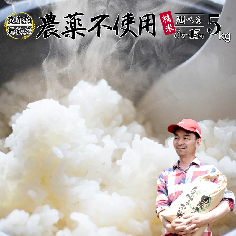 【令和7年度産 新米 先行予約】 棚田米 白米 5kg 栽培期間中農薬不使用 コシヒカリ こしひかり 精米 米 お米 おにぎり お弁当 京都 舞鶴 農家直送