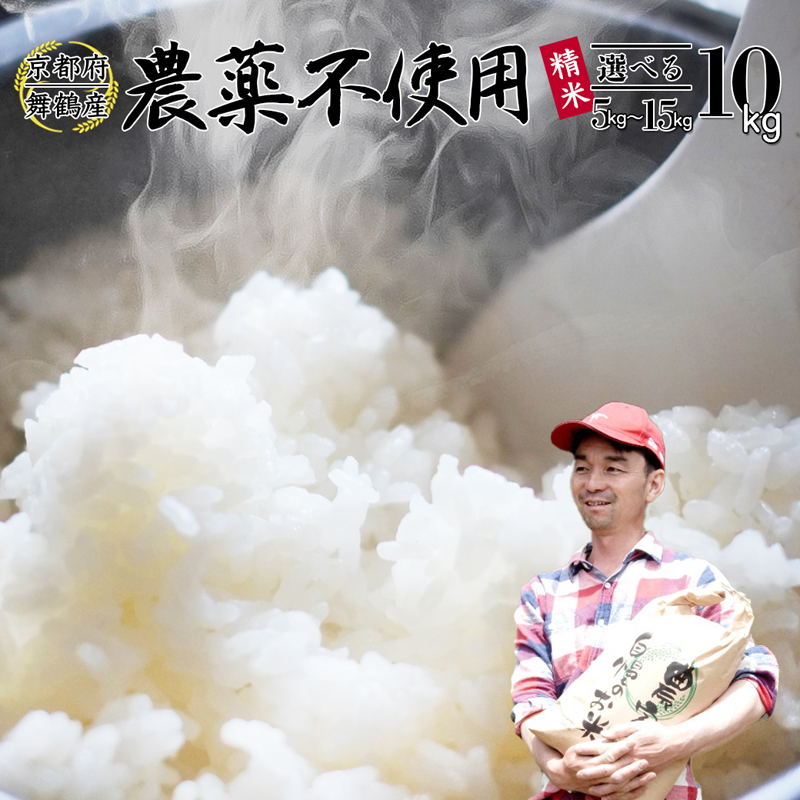 【令和7年度産 新米 先行予約】 棚田米 白米 10kg 栽培期間中農薬不使用 コシヒカリ こしひかり 精米 米 お米 おにぎり お弁当 京都 舞鶴 農家直送