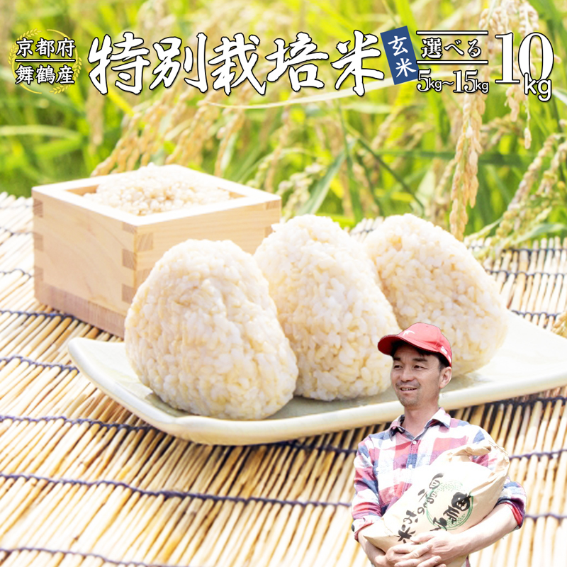 【令和7年度産 新米 先行予約】 棚田米 玄米 10kg コシヒカリ 特別栽培米 7割削減 新米 京都産 農家直送