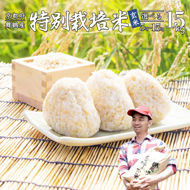 【令和7年度産 新米 先行予約】 棚田米 玄米 15kg コシヒカリ 特別栽培米 7割削減 新米 京都産 農家直送