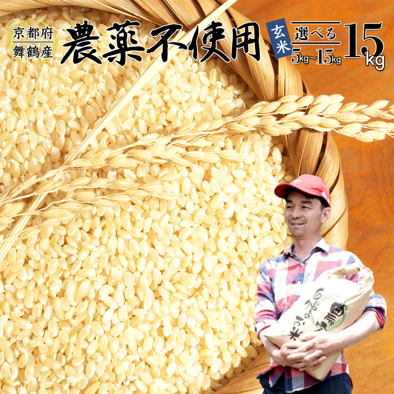 【令和7年度産 新米 先行予約】 棚田米 玄米 15kg 栽培期間中農薬不使用 コシヒカリ こしひかり 米 お米 おにぎり お弁当 京都 舞鶴 農家直送