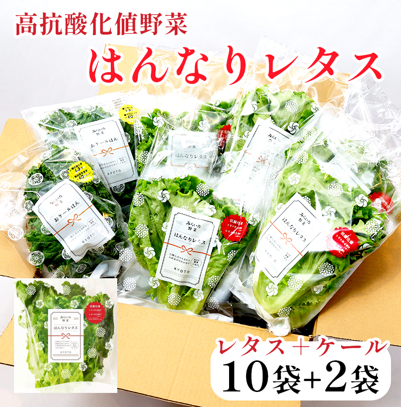 みらい乃野菜 はんなりレタス 10袋 + おケールハン 2袋 12袋 720g 野菜 袋入 水耕栽培 野菜 れたす レタス ケール けーる 葉物 サラダ 高抗酸化値 低硝酸態窒素 小分け 小袋 そのまま 食べれる 健康 身体にやさしい お試し 贈答 熨斗 野菜