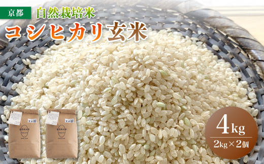 [ 令和6年度産 新米 9月末発送 ] 自然栽培米 こしひかり 4kg 玄米 : お米 コシヒカリ 京都産 舞鶴産 自然栽培 精米 米 農家直送 コメ ご飯 健康 自然 無農薬 お米 玄米 自然栽培米 無農薬米