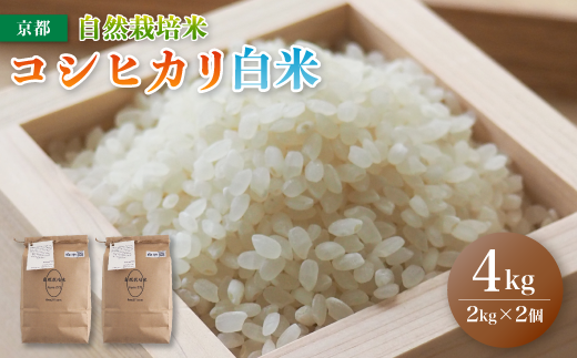 [ 令和6年度産 新米 9月末発送 ] 自然栽培米 こしひかり 4kg 精米 白米 : お米 コシヒカリ 京都産 舞鶴産 自然栽培 精米 米 農家直送 コメ ご飯 健康 自然 無農薬 お米 玄米 自然栽培米 無農薬米