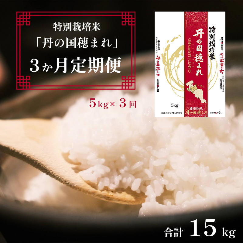 [定期便]特別栽培米 コシヒカリ 丹の国穂まれ 精米 5kg×3回 15kg 3ヶ月定期便 毎月