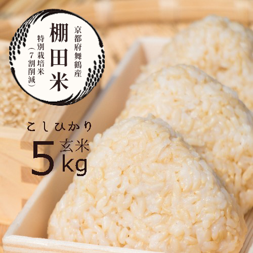 棚田米 5kg コシヒカリ 特別栽培米 7割削減 令和5年産 玄米 京都産 農家直送