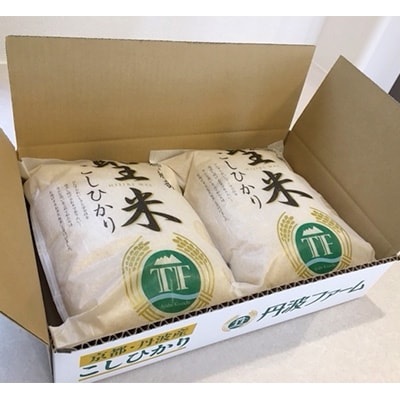 【令和7年産】京都府産コシヒカリ　聖米(白米)5kg×2袋