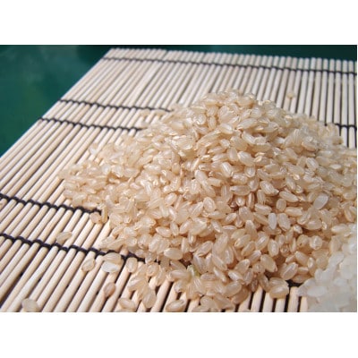 【令和7年産】京都府産コシヒカリ　聖米(玄米)5kg