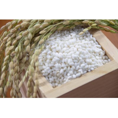 【令和7年産】京都府産コシヒカリ　聖米(白米)5kg