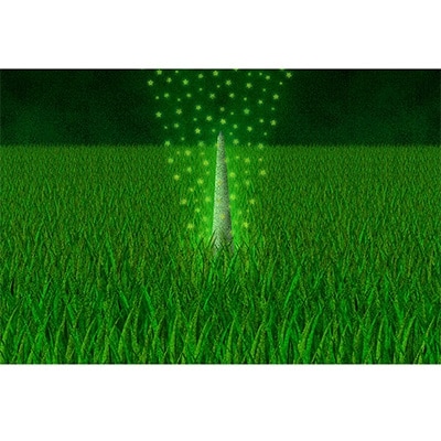 ＼京都・綾部の癒やし系作家/【絵画】　夜明けの不思議　額装サイズ526mmx412mm