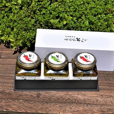 【京野菜パスタソース】万願寺とうがらしのぺぺろんちーの115g×2個　じぇのべーぜ110g×1個