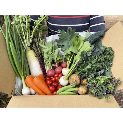【栽培期間中農薬・化学肥料不使用です】ともときファーム丹波の季節の野菜セットL【配送不可地域：離島】