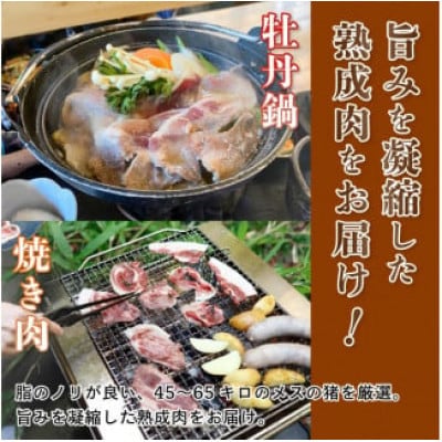 猪肉スライス(猪ロース、猪バラ肉、猪モモ肉、肩肉)ミックス合計300g (約2人前)【配送不可地域：離島】