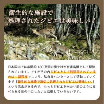 熟成 鹿肉シチュー 3個セット(200g×3個) ジビエ レトルト