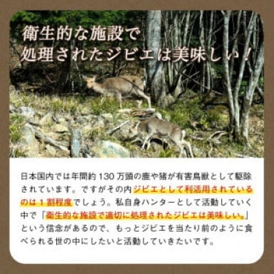 熟成 鹿肉シチュー 5個セット(200g×5個) ジビエ レトルト
