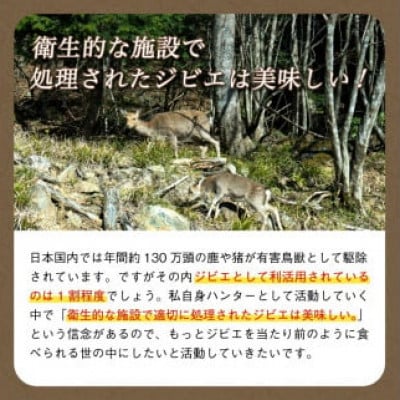 熟成 鹿肉シチュー 10個セット(200g×10個) ジビエ レトルト