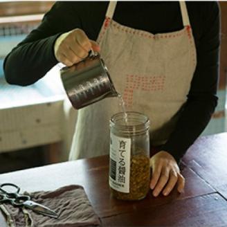 京都府綾部市　今しぼりの育てる醤油と卓上しぼり器セット