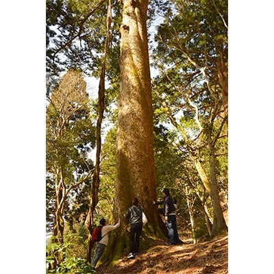 農家民宿『里山ゲストハウス　クチュール』宿泊1名様分+2食(共同調理)+ハイキングガイド(約5時間)