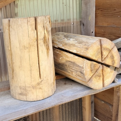 スウェーデントーチ