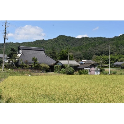 ～栽培期間中 稲穂に農薬不使用～京都のお米  令和7年産コシヒカリ5kg【精米】