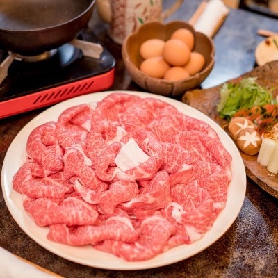 【毎月定期便】京都姫牛 切り落とし600g(ロース、モモ、カルビ)全3回【配送不可地域：離島】