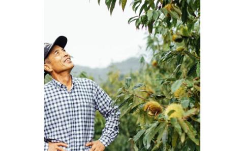 【京栗】冷凍むき栗　1kg(250g×4P)　氷蔵丹波栗【配送不可地域：離島】