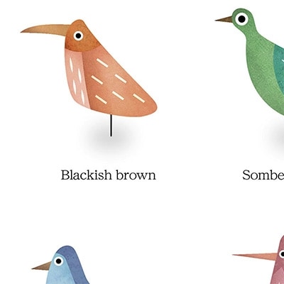 ＼京都・綾部の癒やし系作家/【絵画】　BIRD　額装サイズ526mmx412mm