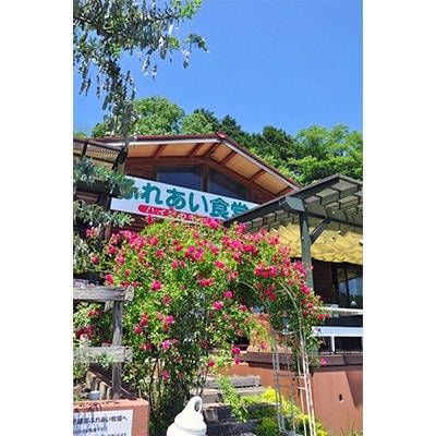 軍鶏すき焼き鍋【配送不可地域：離島】