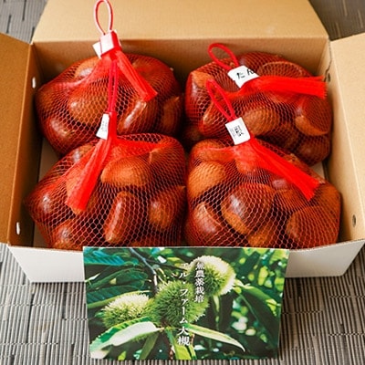 【数量限定/氷温熟成】京栗　おまかせセット　4種類　＜合計2kg＞【配送不可地域：離島】