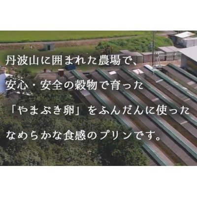丹波奥里の卵を使ったプリン8個セット 結鶴プリン(プレーン・ほうじ茶・地酒・丹波梅 各2個)【配送不可地域：離島・北海道・沖縄県】