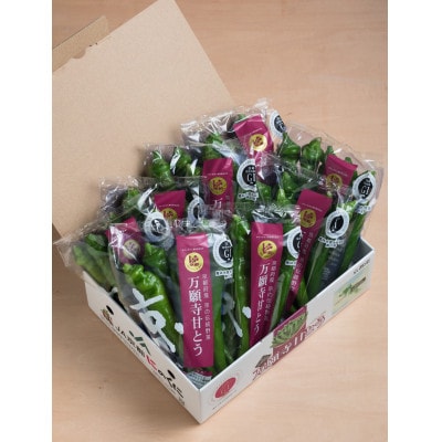 甘い!美味い!辛くない!京のブランド産品「万願寺甘とう」化粧箱(150g×8袋)【配送不可地域：離島・沖縄県】