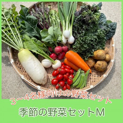 【栽培期間中農薬・化学肥料不使用です】ともときファーム丹波の季節の野菜セットM【配送不可地域：離島】