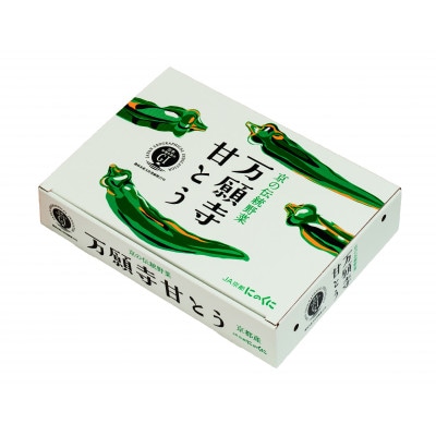 甘い!美味い!辛くない!京のブランド産品「万願寺甘とう」 1kg【配送不可地域：離島】