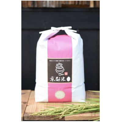 ～栽培期間中 稲穂に農薬不使用～京都のお米  令和7年産コシヒカリ5kg【精米】
