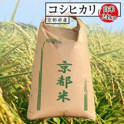 [令和7年産]京都府産コシヒカリ(白米)24kg