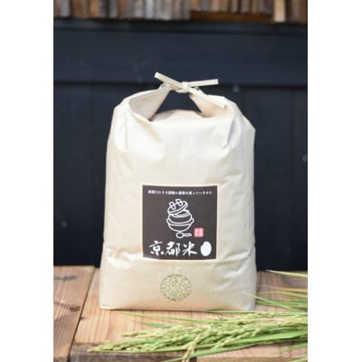 手間暇かけて育てた美味しいお米 令和7年産コシヒカリ5kg[玄米]