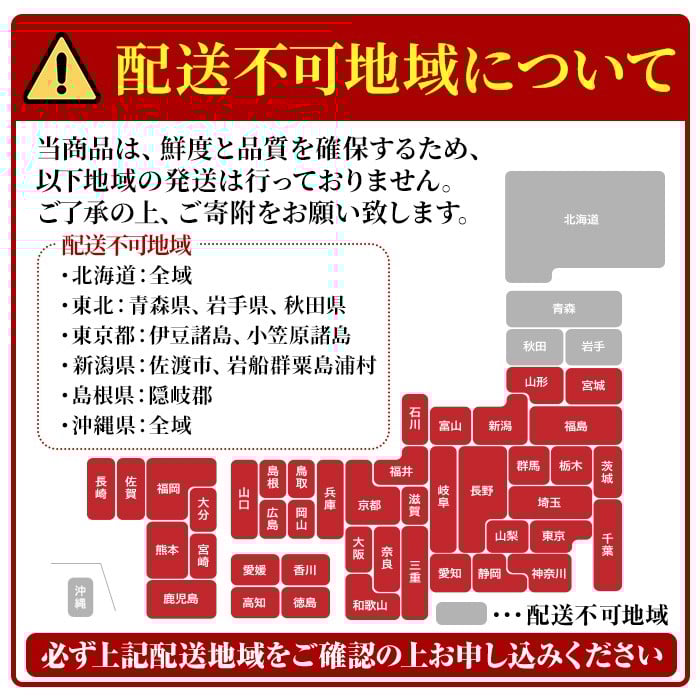 茶の香り漂う和風おせち一段重～1人前～ 特産品 おせち おせち料理 和風 予約 盛り付け済み 冷蔵 迎春 新春 お取り寄せ 先行予約 年内発送 【uj-CN001-B】【京料理　辰巳屋】