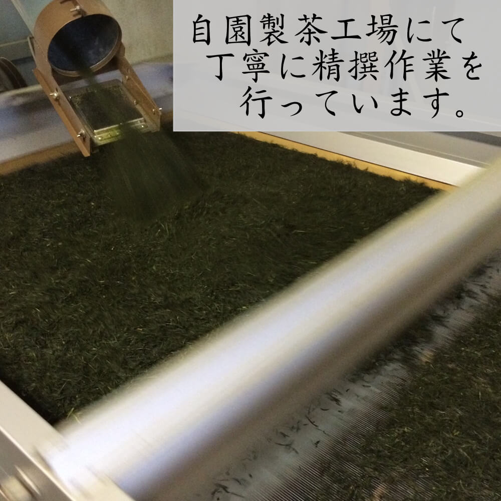 ＜数量限定＞宇治茶 玉露「玉誉」・煎茶「手づみ」詰合せ(220g×各1缶) 京都府 宇治市 京都 宇治 お茶 茶葉 煎茶 玉露 お土産 ギフト 贈答 【uj-FO001】【北岡園】