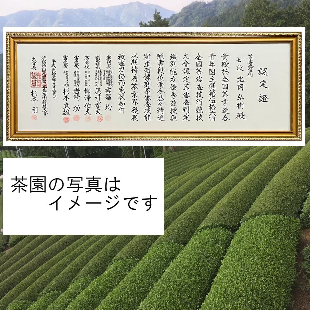 ＜数量限定＞宇治茶 玉露「玉誉」・煎茶「手づみ」詰合せ(220g×各1缶) 京都府 宇治市 京都 宇治 お茶 茶葉 煎茶 玉露 お土産 ギフト 贈答 【uj-FO001】【北岡園】