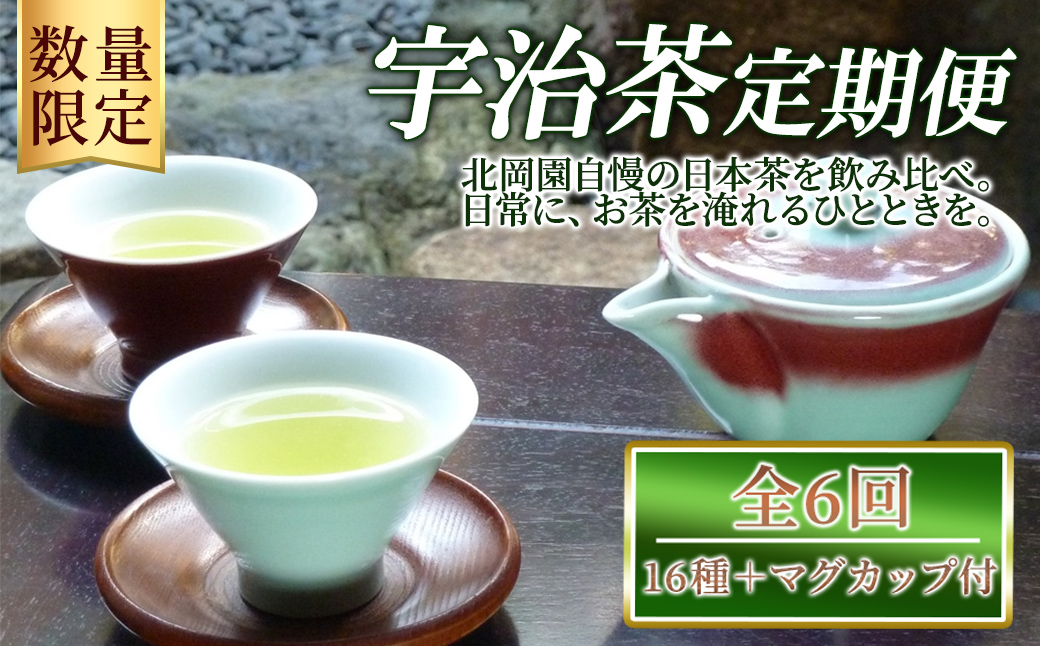 ＜数量限定＞＜定期便・全6回＞北岡園おすすめ茶セット(16種＋マグカップ付) 京都 宇治 お茶 茶葉 煎茶 玉露 ほうじ茶 雁金 かりがね 玄米茶 フィルターインマグ マグカップ 飲み比べ【uj-FO005】【北岡園】