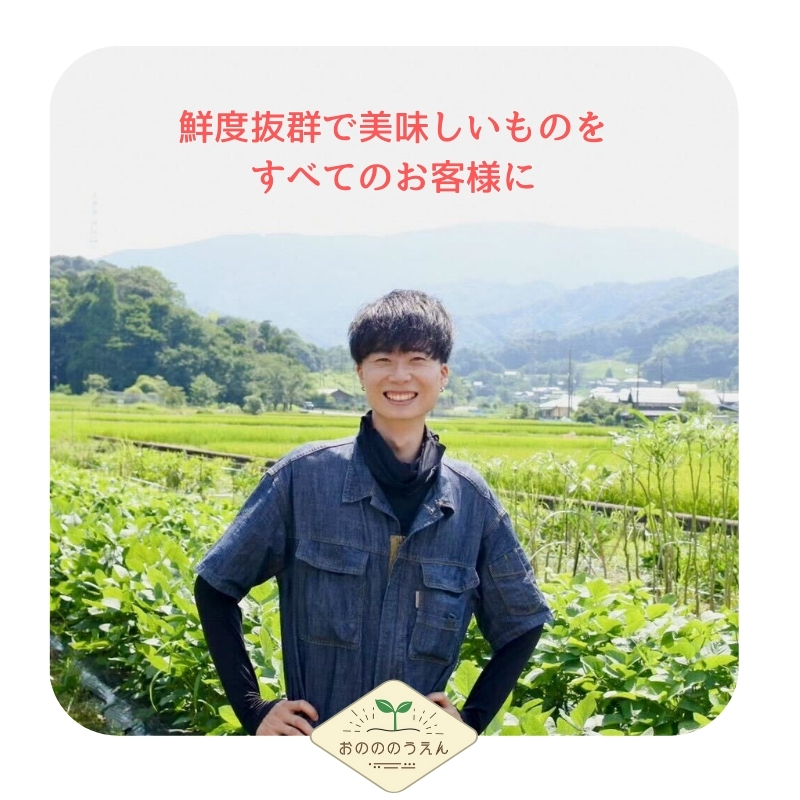 京都府産　お土産付き生姜収穫体験 新生姜お土産2kg付＋民泊宿泊(2名様分)チケット